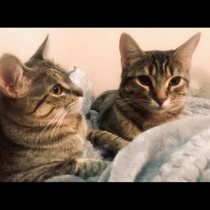 Meet your Posher, Leslie